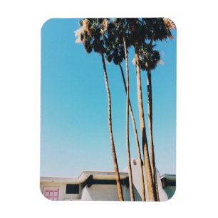 Magnet Flexible Pink Door Of Palm Springs