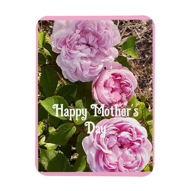 Magnet Flexible Pink Flowers Floral Rose Roses Mothers Day Card (Vertical)