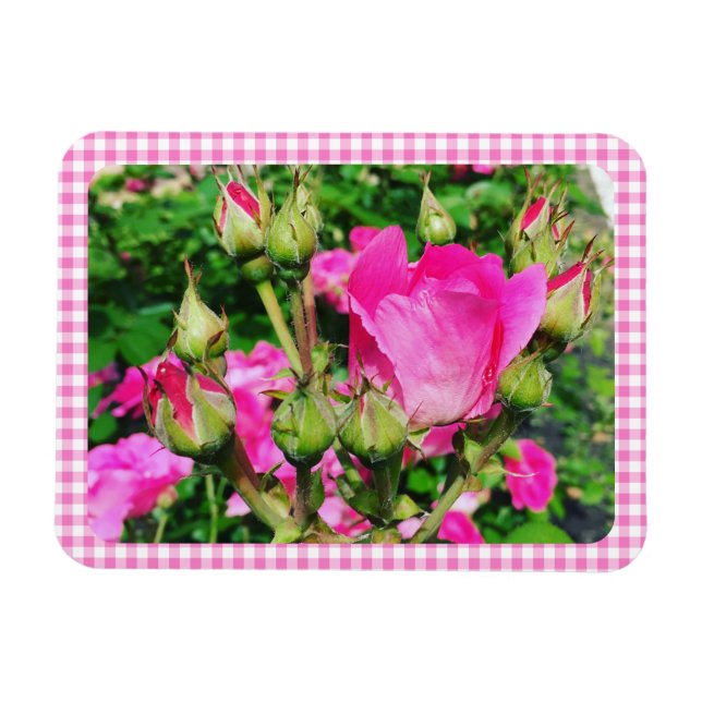 Magnet Flexible Pink Gingham Plaid Rose Garden Photo (Horizontal)