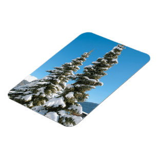 Magnet Flexible Pins sous la neige