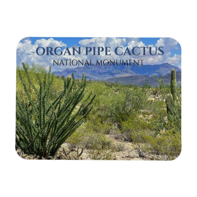 Magnet Flexible Pipe d'orgue Cactus, Arbuste Ocotillo, Monts Ajo (Horizontal)