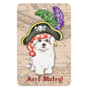 Magnet Flexible Pirate maltais