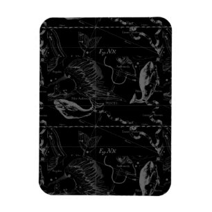 Magnet Flexible Pisces Constellation Hevelius 1690 sur Black