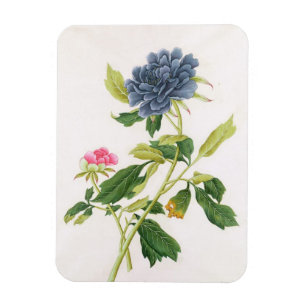 Magnet Flexible Pivoine