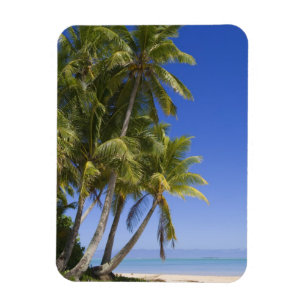 Magnet Flexible Plage bordée de palmiers Îles Cook 3