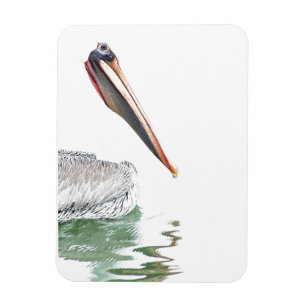 Magnet Flexible Plage d'animaux de faune d'oiseaux de pélican