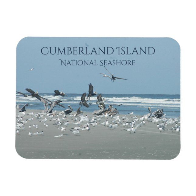 Magnet Flexible Plage de Cumberland Island, Oiseaux en vol, Océan (Horizontal)