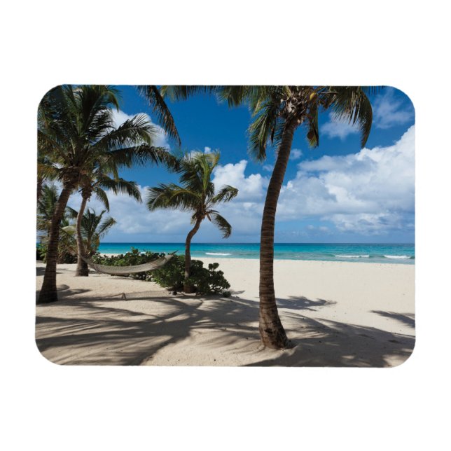 Magnet Flexible Plages tropicales | Anguilla Beach, Palm Tree (Horizontal)
