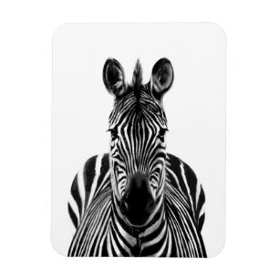 Magnet Flexible Plan de sauvegarde III