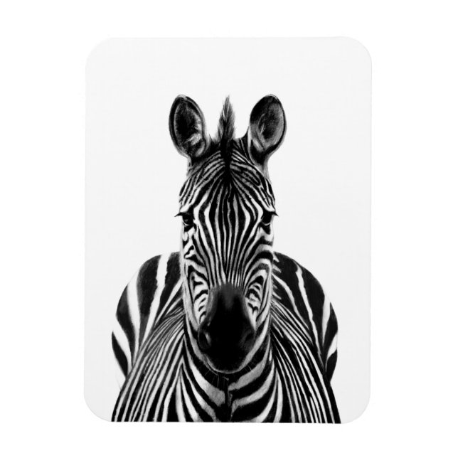 Magnet Flexible Plan de sauvegarde III (Vertical)