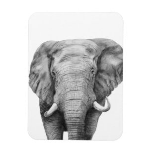 Magnet Flexible Plan de sauvegarde IV