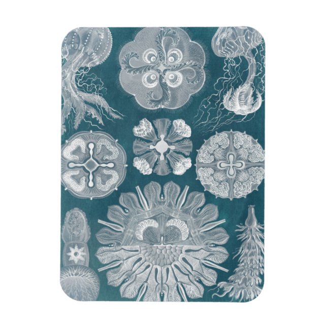 Magnet Flexible Plan directeur de la vie marine IV (Vertical)