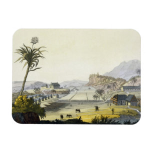 Magnet Flexible Plantation de sucre, Antilles (gravure de couleur)