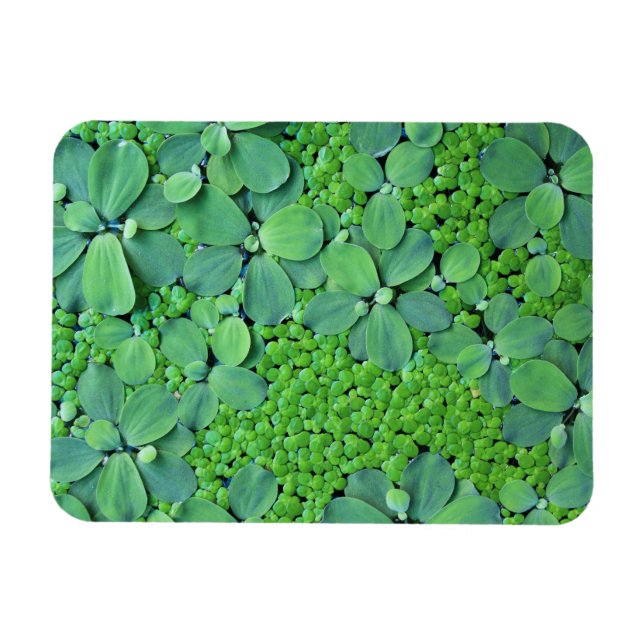 Magnet Flexible Plante (Horizontal)