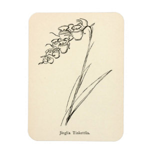 Magnet Flexible Plante de fleur de thé Jinglia vintage tinkettlia