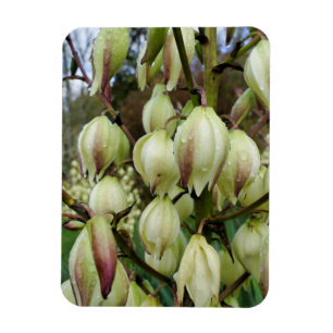 Magnet Flexible Plante du Yucca