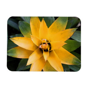 Magnet Flexible Plante feuillue de jardin feuilles jaunes,