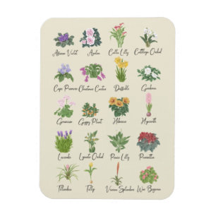 Magnet Flexible Plantes intérieurs et leurs noms - Cadeaux amoureu