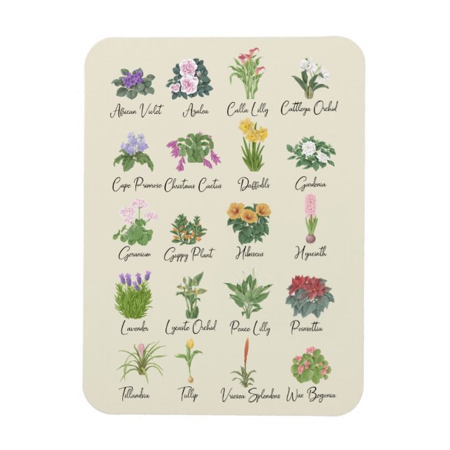 Magnet Flexible Plantes intérieurs et leurs noms - Cadeaux amoureu (Vertical)