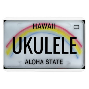 Magnet Flexible Plaque de licence Hawaii Rainbow Flexible