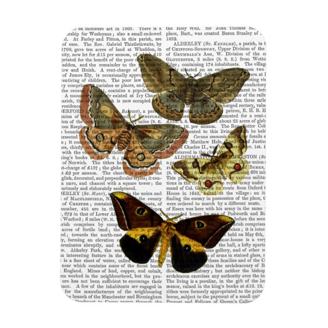 Magnet Flexible Plaque de papillon 4 (Vertical)