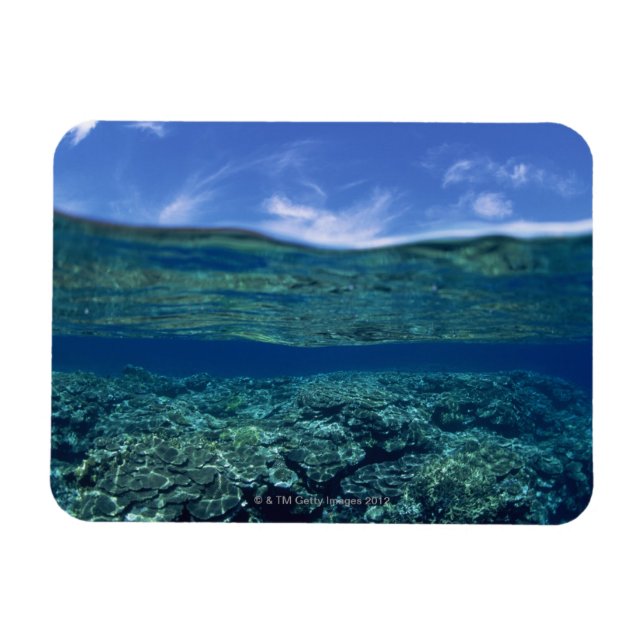 Magnet Flexible Plateau de corail (Horizontal)