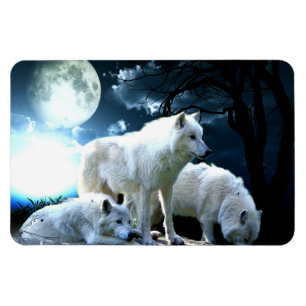 Magnet Flexible Pleine lune de loup