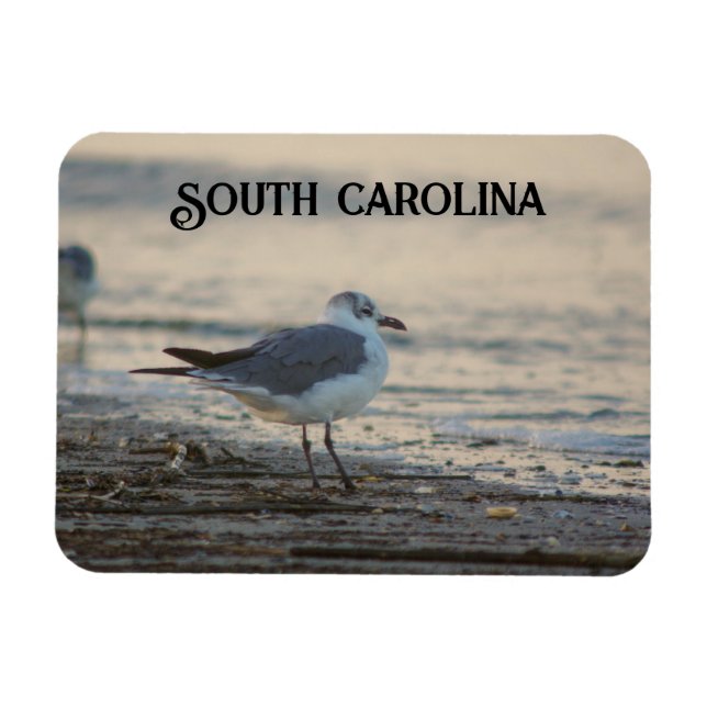 Magnet Flexible Plover sur la plage (Horizontal)