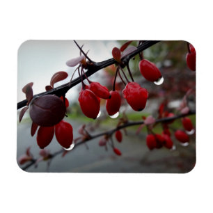 Magnet Flexible Pluie sur la brindille