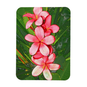 Magnet Flexible Plumerias