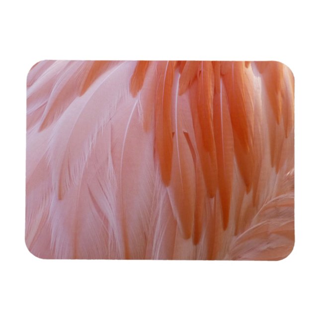 Magnet Flexible Plumes de flamant rose (Horizontal)