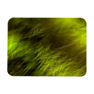 Magnet Flexible Plumes jaunes