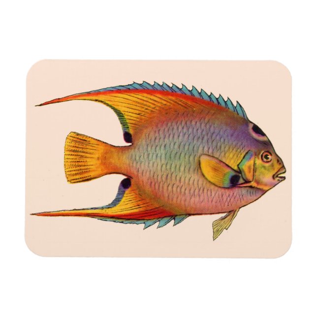 Magnet Flexible poisson-ange (Horizontal)