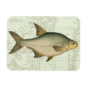Magnet Flexible Poisson d'eau douce sur la carte