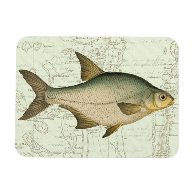 Magnet Flexible Poisson d'eau douce sur la carte (Horizontal)