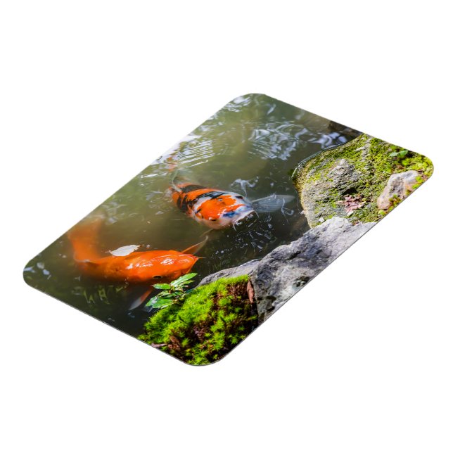 Magnet Flexible Poisson Koi dans un étang (Côté Gauche)