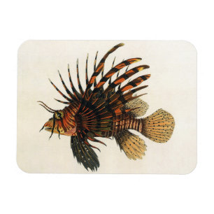 Magnet Flexible Poisson vintage de Lion, Marine Océan Vie Animal