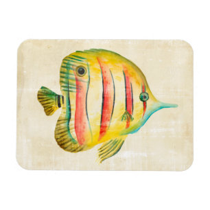 Magnet Flexible Poissons colorés