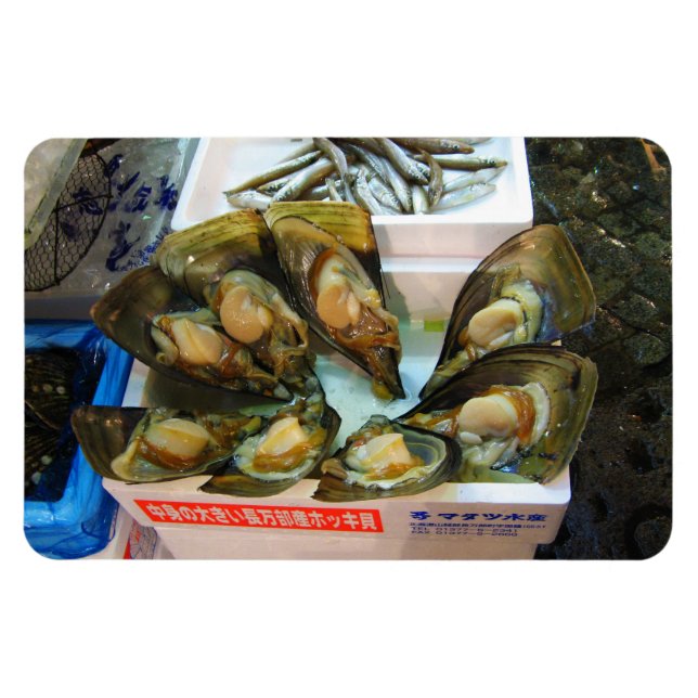 Magnet Flexible Poissons de moules géantes Tsukiji, Tokyo, Japon (Horizontal)