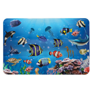 Magnet Flexible Poissons tropicaux nageant Fond