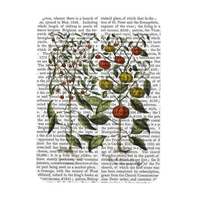 Magnet Flexible Poivrons 4 (Vertical)