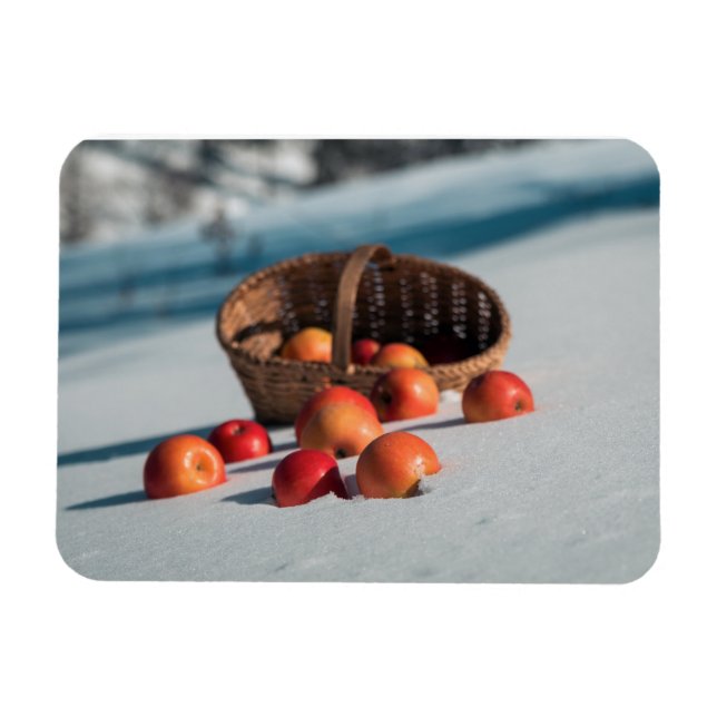 Magnet Flexible Pommes sur la neige (Horizontal)