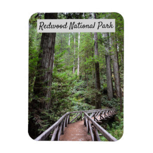 Magnet Flexible Pont en bois et Sequoias   Parc national de Redwoo