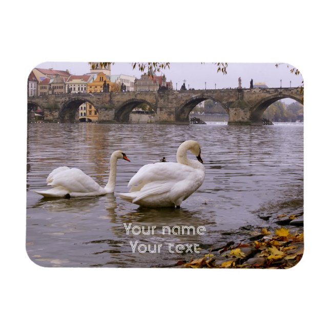 Magnet Flexible Pont Swans and Charles à Prague (Horizontal)