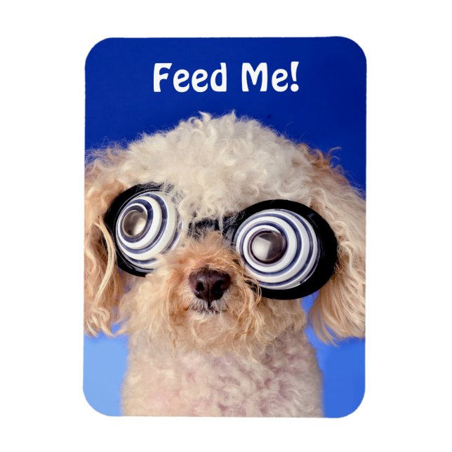 Magnet Flexible Poodle hypnotique (Vertical)