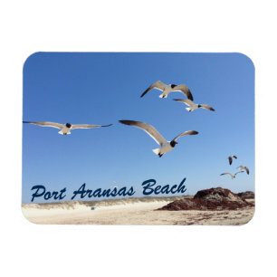 Magnet Flexible Port Aransas Seagull Photographie Plage Jolie