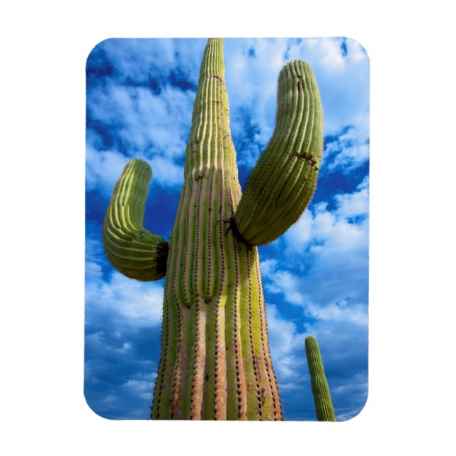 Magnet Flexible Portrait de cactus saguaro, Arizona (Vertical)