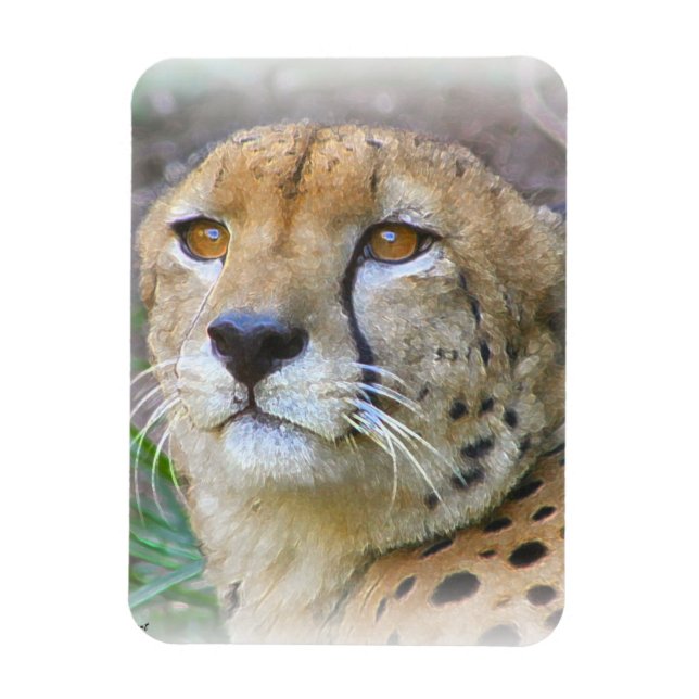 Magnet Flexible Portrait de Cheetah (Vertical)