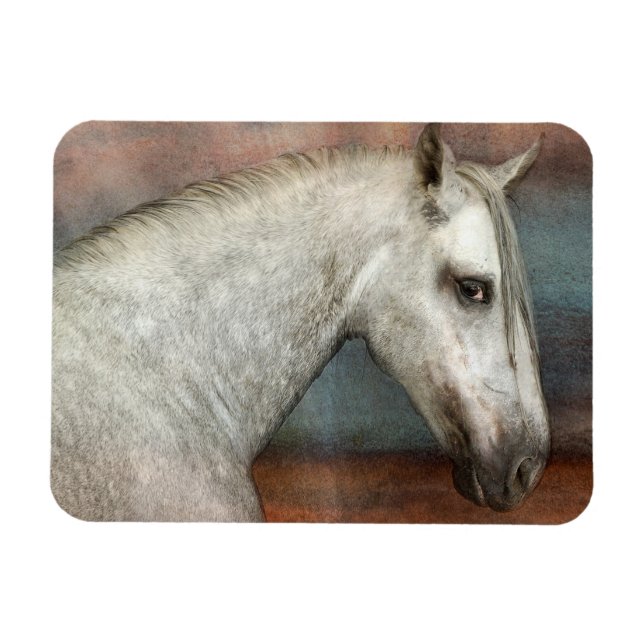 Magnet Flexible Portrait de Cheval Andalou Gris Dappé (Horizontal)