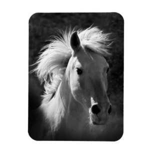 Magnet Flexible Portrait de cheval V
